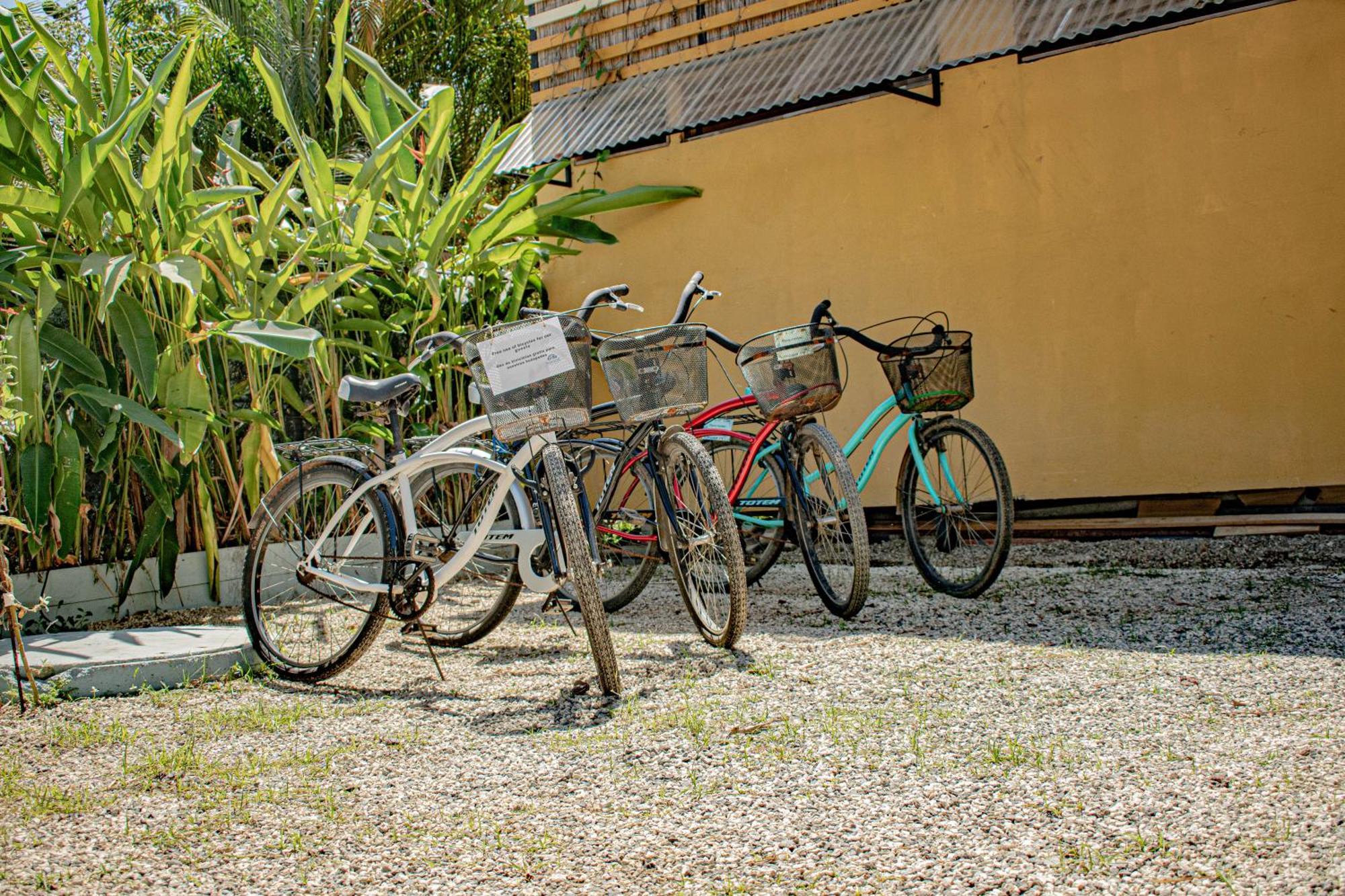 ホテル Habitat Surf Glamp Playa Santa Teresa  エクステリア 写真